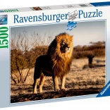 Puzzle 1500 pieces Lion