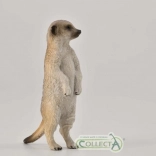 CollectA meerkat standing figurine