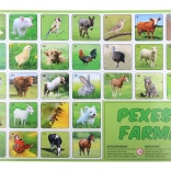 Farm Memory Game – animal pairs