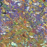 Ravensburger Puzzle Coral Reef 1500 Pieces