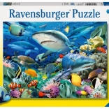 Puzzle Shark Reef by Ravensburger