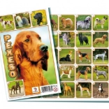 Pexeso Hunde Gesellschaftsspiel