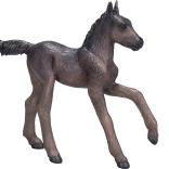 Mojo Arabian Foal Black