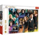 Puzzle HARRY POTTER 1000 pieces – wizarding world