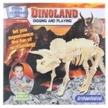 Kit de Gravure Triceratops