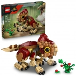 Lego Jurassic World baby dinosaur Dolores Aquilops building set