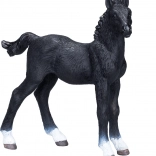 Mojo Hanoverian Black Foal