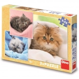 Children's Puzzle Cute Kittens 3×55 Pieces