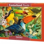 Puzzel 3000 stukjes – toekans Interlude CASTORLAND