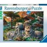 Puzzle 1500 pieces Spring Wolves