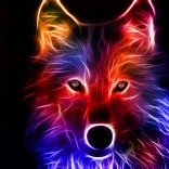 Diamond Painting Wolf Phantom 30 × 40 cm