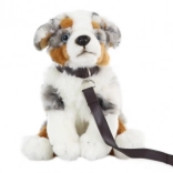 Plush Australian Shepherd with Leash