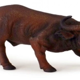 Collecta African Bull – realistic figurine