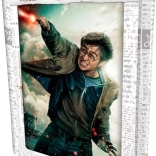 3D-puzzel HARRY POTTER – Harry, 300 stukjes