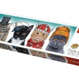 Panoramic Puzzle TREFL - Soft Team 500 Pieces