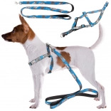 Adjustable Harness with Leash for Dogs and Cats – Comfortable Set