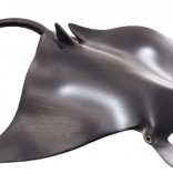 Mojo manta ray – realistic figurine