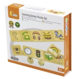 VIGA educational game wooden puzzle for learning the senses