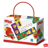 Domino Far Far Land colorful with pictures