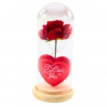 Rose éternelle sous cloche en verre avec éclairage LED, rouge, avec petit cœur