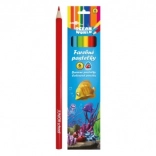 Ocean World triangular colored pencils 6 pcs