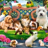 Puzzle 180 pièces – Animaux de compagnie au parc